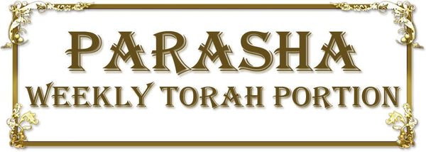 03 Parshat Bereshit 1:1. Part 3. Rabenu BECHAYE intro (RUSS)