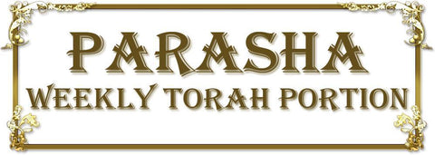 08 Parshat Bereshit 1:1 Part 8 (RUSS)