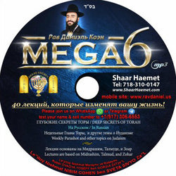 Mega Disk 6